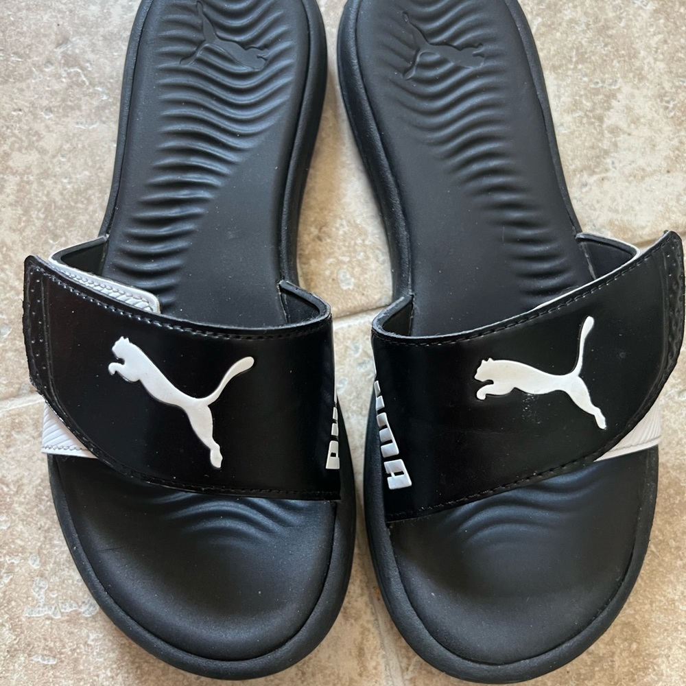 Puma slides